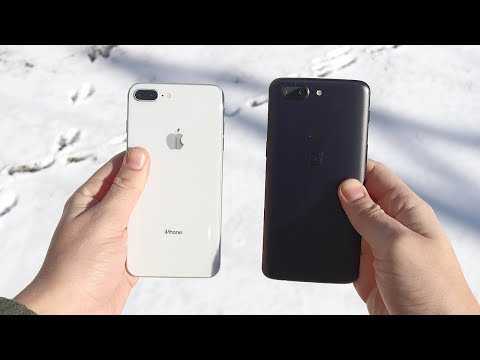 Apple iphone x vs oneplus 5t: в чем разница?