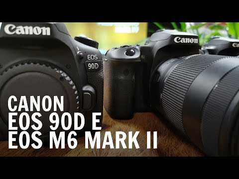 Canon eos 90d vs canon eos m50