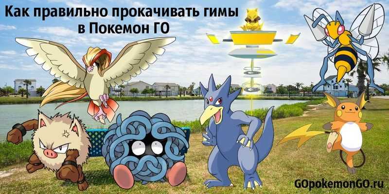 Pokemon go: как стать настоящим профи