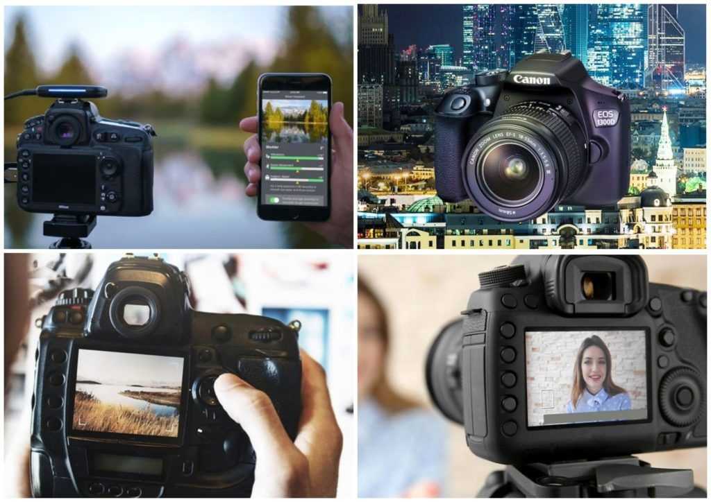 Зеркальные фотоаппараты для начинающих: рейтинг лучших моделей 2020-2021 года