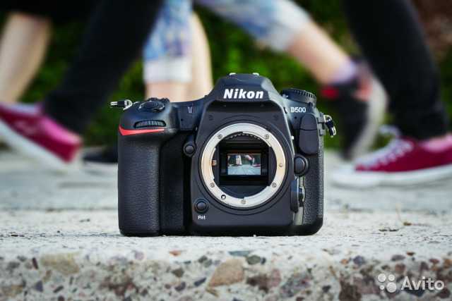 Как выбрать зеркальный фотоаппарат для начинающего фотографа: важные характеристики