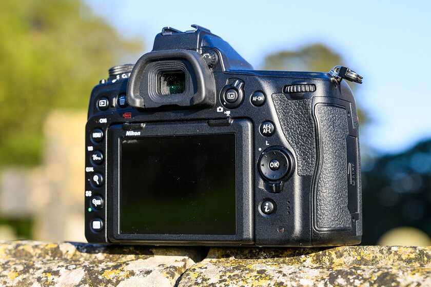Лучшие зеркальные фотоаппараты Nikon и Canon Лучшие недорогие зеркальные фотоаппараты 2021 в рейтинге MyGadget