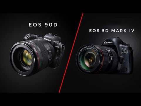 Canon eos 90d vs canon eos rp: в чем разница?