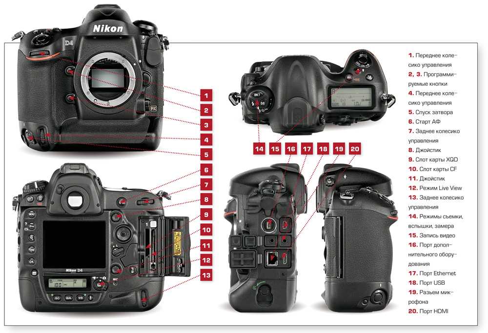 Canon eos 50d и canon eos 80d - сравнение фотоаппаратов
