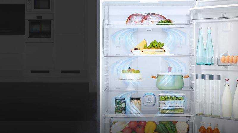 Какой холодильник выбрать lg или bosch?