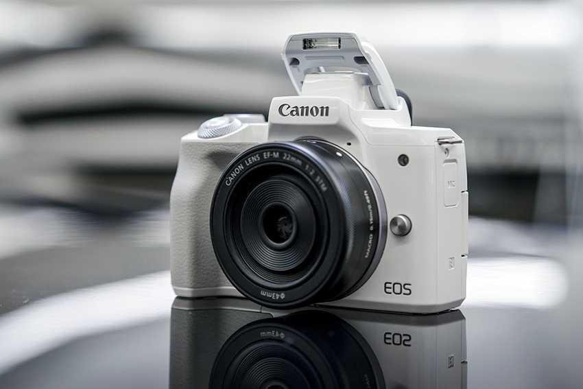 Canon eos 250d vs canon eos m50: в чем разница?
