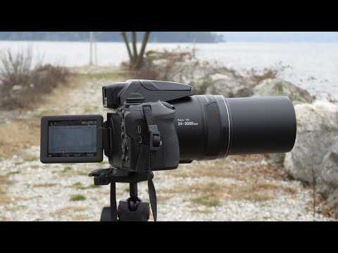 Nikon coolpix p900 - компактная фотокамера с 83-кратным оптическим зумом