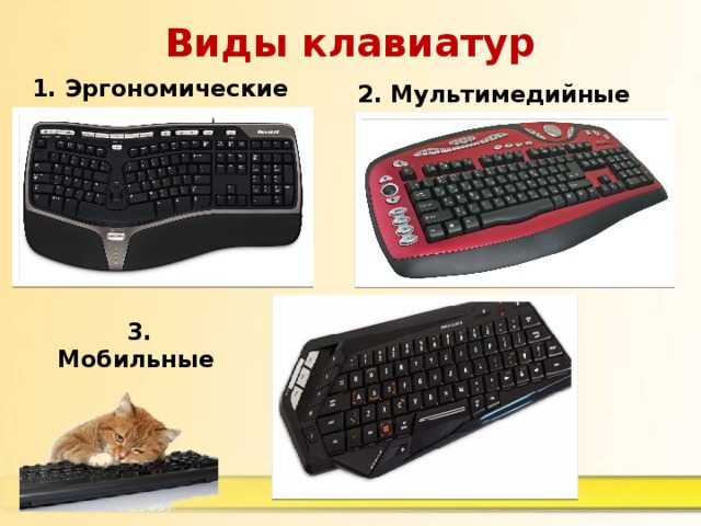 Виды клавиатур для компьютера: типы клавиш, преимущества и недостатки, характеристики