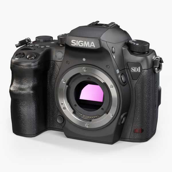 Тест фотокамеры sigma sd quattro h: будущее выглядит медлительным