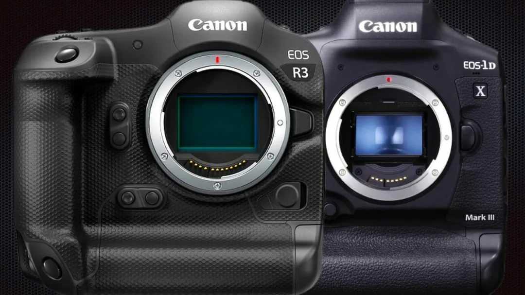 Обзор и тест canon eos r6, универсальной камеры для любых задач | photowebexpo