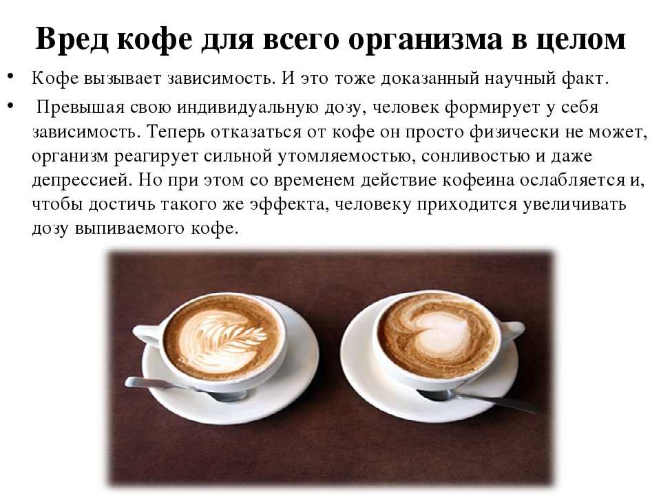 Цифровые кофейни: новый тренд на кофейном рынке | coffeetea.ru