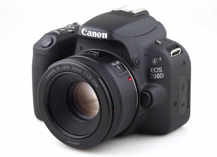 Canon eos 2000d и canon eos 250d - сравнение фотоаппаратов