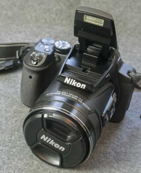 Nikon coolpix p900 – мощный зум для съёмок живой природы // новости фотоиндустрии // fotoexperts