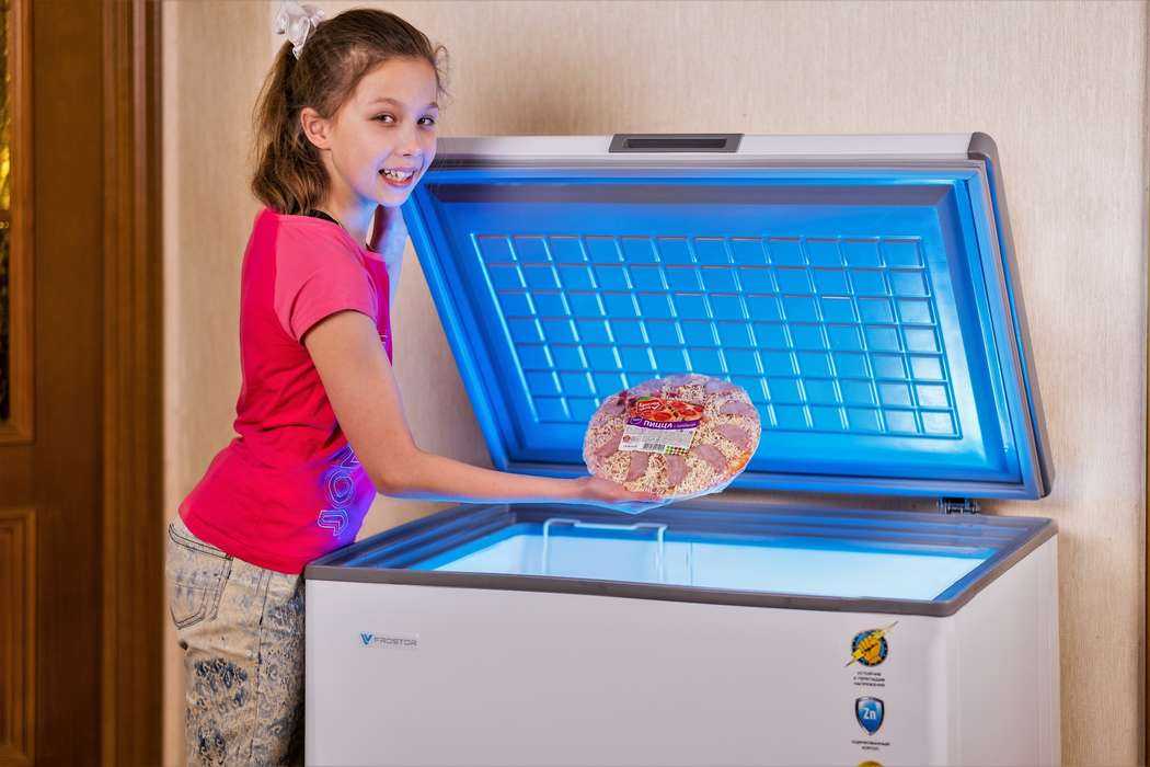 Холодильные камеры для дома: виды, критерии выбора, лучшие модели
