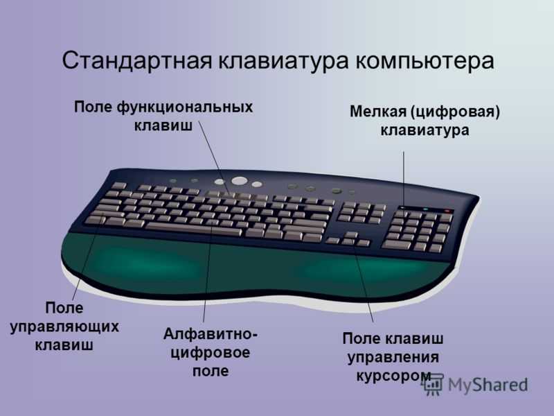 Как выбрать клавиатуру для компьютера