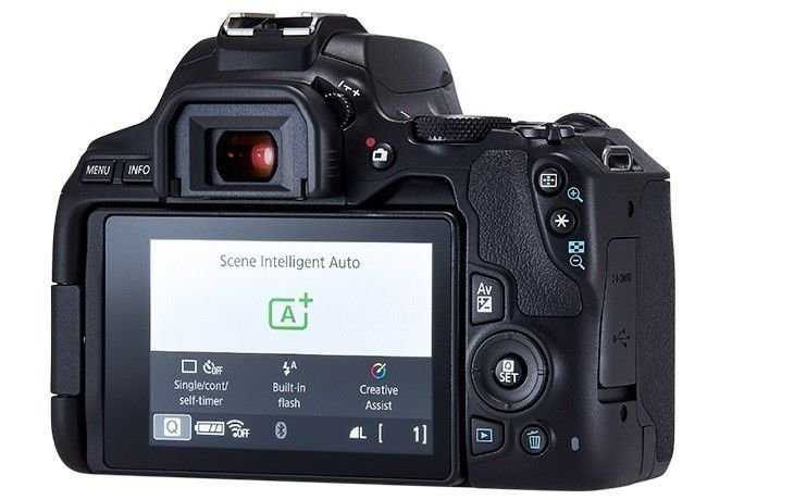 Тест и обзор зеркального фотоаппарата canon eos 200d