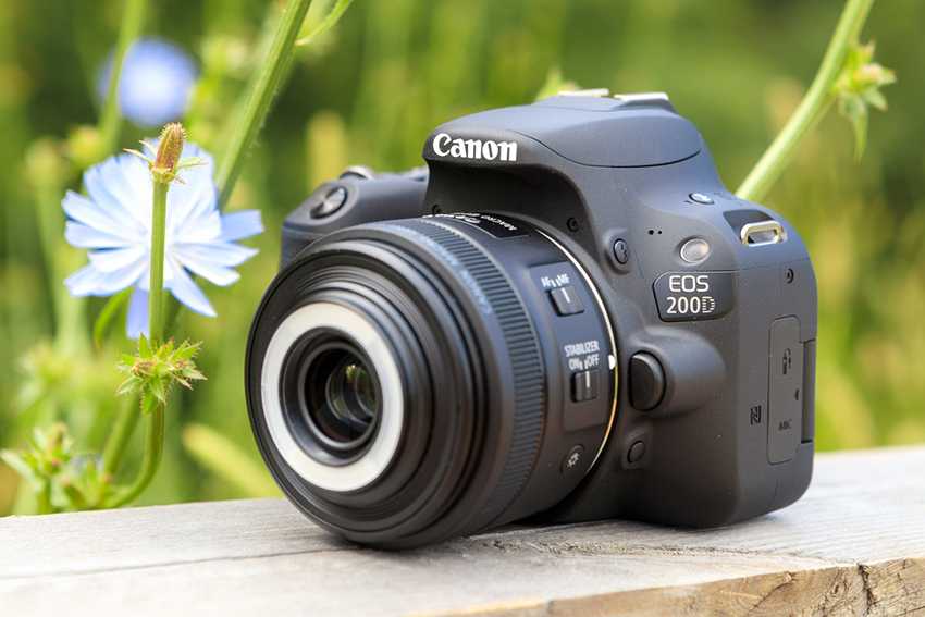 Смотрите обзор и тестирование фотоаппарата Canon EOS 2000D Kit Технические характеристики, плюсы и минусы в обзоре фотоаппарата от MyGadget